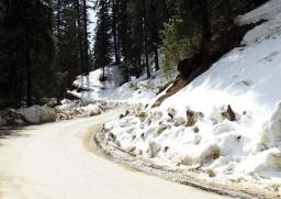  Shimla Manali Taxi Tour From Chandigarh